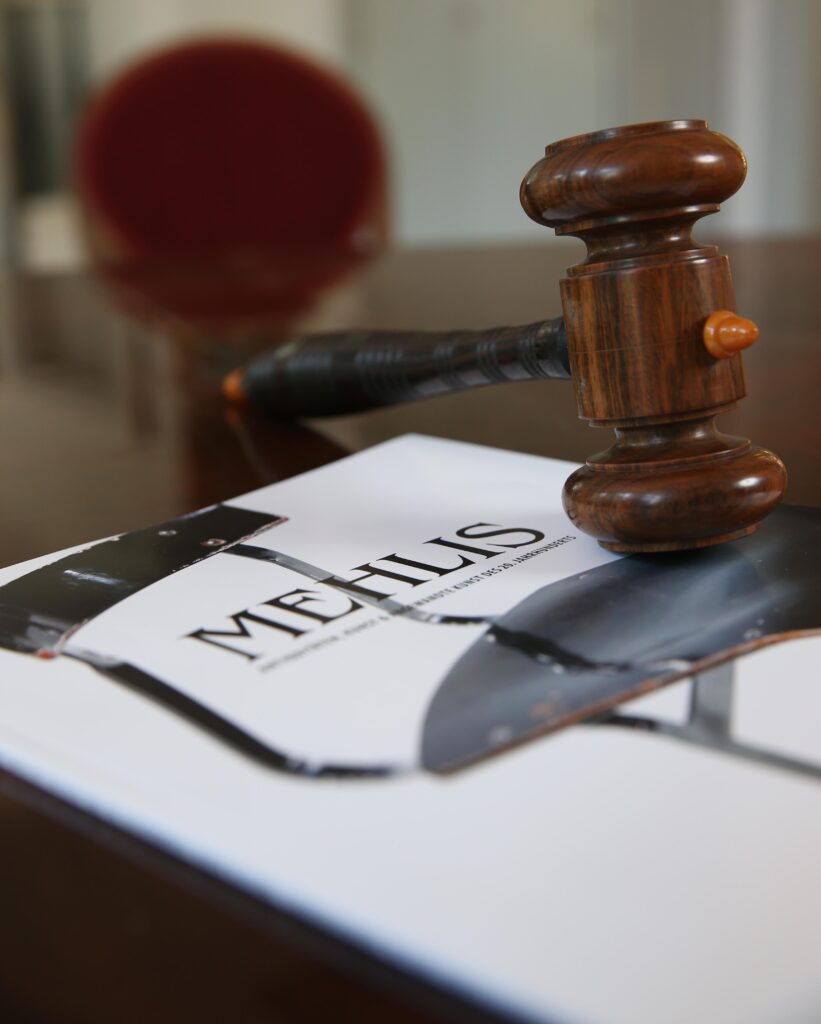 Mehlis0108web.jpg 3456x4308 Q85 Crop Subsampling 2 821x1024